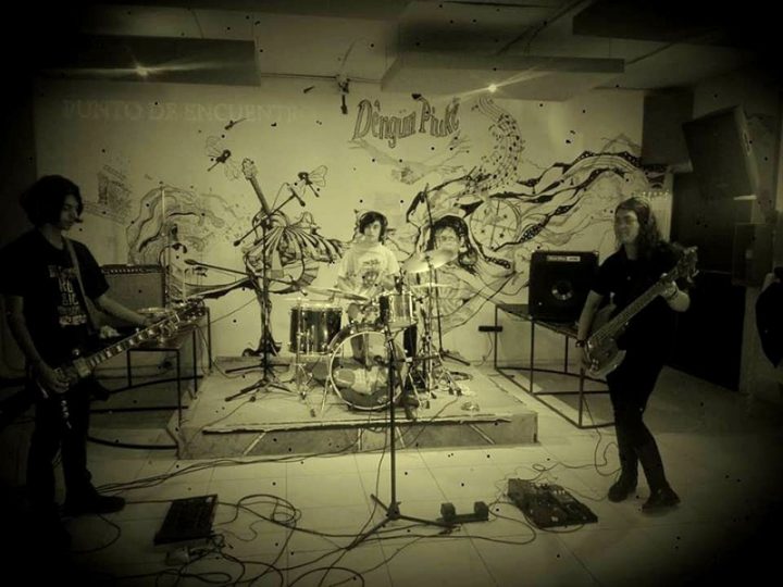 Bandas en la Fiesta de la Nieve, Soldados del recuerdo. Foto, gentileza Municipalidad