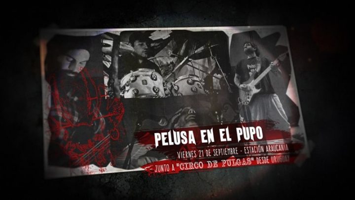 Pelusa en el Pupo en Estación Araucanía