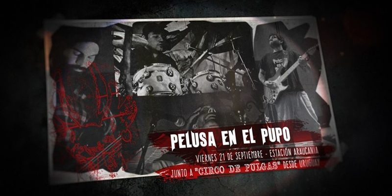 Pelusa en el Pupo en Estación Araucanía